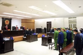 庭审现场。图自越通社