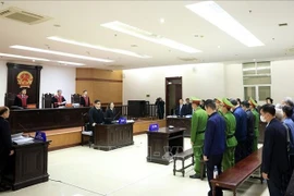 庭审现场。图自越通社