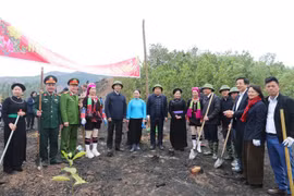 全国各地纷纷举行2025年新春植树节启动仪式。图自VOV