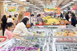 附图。图自越通社