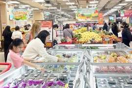 附图。图自越通社