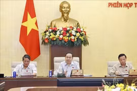 越南国会主席陈青敏发表讲话。图自越通社