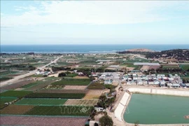 宁顺2号核电站规划建设地区位于宁海县永海乡。图自越通社