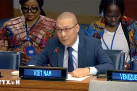 越南常驻联合国代表团副团长阮黄原公使衔参赞出席了会议。图自越通社