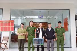 嘉莱省林检部门接收一只珍稀黑冠鳽。图自越通社