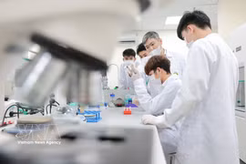 附图。图自越通社