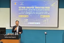 越南驻新加坡大使陈福英在论坛上发言。图自越通社