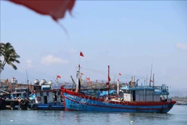 附图。图自越通社