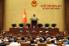 国会第十六届国会第一次会议现场。图自越通社
