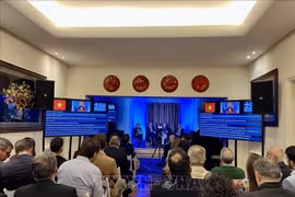 研讨会现场。图自越通社