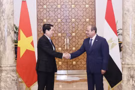 越南国家主席梁强与埃及总统阿卜杜勒·法塔赫·塞西。图自越通社