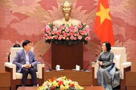 会见现场。图自越通社