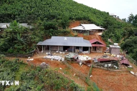 截至7月27日，越南全国34个省市中的19个省份已完成危旧房清除工作，完成率达55.9%。图自越通社