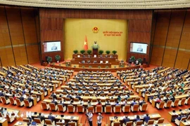 越南第十五届国会第十次会议议现场。图自越通社
