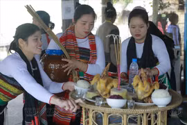 清化傣族人的新米节