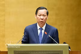 国会经济与财政委员会主任潘文买发表讲话。图自越通社
