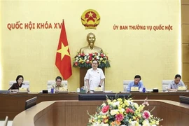 越南国会主席陈青敏发表讲话。图自越通社