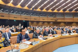 越南常驻联合国及维也纳国际组织代表团团长武黎泰黄大使。图自越通社