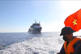 神圣岛礁间的祖国旗帜。图自越通社