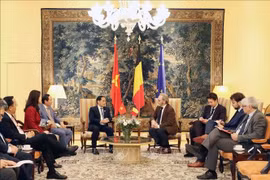 越南政府副总理裴青山会见比利时王国联邦众议院议长彼得·德鲁弗。图自越通社