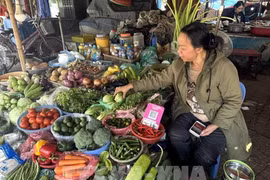 附图。图自越通社