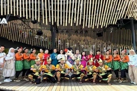 越南展馆与马来西亚展馆联合举办文化艺术交流活动。图自人民报