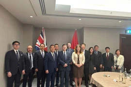 阮黄龙副部长与英国贸易政策国务大臣道格拉斯·亚历山大（Douglas Alexander）及两国各部委、使馆代表在第14次JETCO会议上合影留念。图自越通社