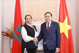 越南国会主席陈青敏在首都拉巴特会见摩洛哥－越南友好议员小组主席卢布娜·斯里里。图自越通社