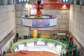 和平水电站扩建工程2号机组转子成功吊装。图自越通社