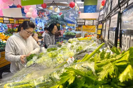 正月初三越南市场供应充足 物价平稳。图自越通社