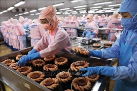 农林水产品出口额预计达700亿美元，远超650亿美元目标。图自越通社