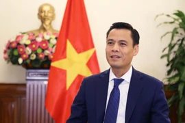 越南外交部副部长邓黄江。图自越通社