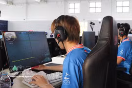 附图。图自越通社