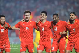 越南队3-1战胜马来西亚队。图自越通社