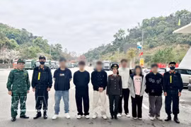 外籍涉案人员已依照法律规定被驱逐出越南领土。图自越通社