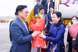 越南国会科学、技术与环境委员会主任、越南—韩国议员友好小组主席阮青海到机场迎接。图自越通社