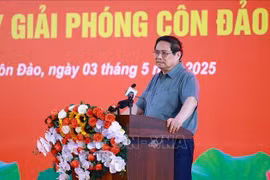 政府总理范明政发表讲话。图自越通社