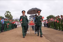 迎接172具在柬埔寨牺牲的越南志愿军和专家烈士遗骸归国。图自越通社