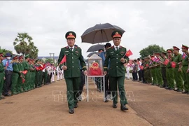 迎接172具在柬埔寨牺牲的越南志愿军和专家烈士遗骸归国。图自越通社