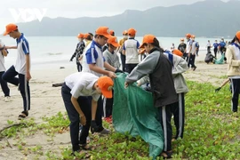 收集垃圾、维护环境绿洁美。图自VOV