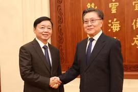 越南政府副总理陈红河会见中国全国人大常委会副委员长王东明。图自越通社