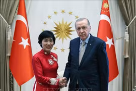 越南驻土耳其新任大使邓氏秋河和土耳其总统雷杰普·塔伊普·埃尔多安。图自越通社