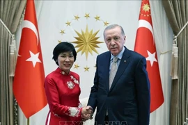 越南驻土耳其新任大使邓氏秋河和土耳其总统雷杰普·塔伊普·埃尔多安。图自越通社