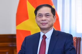 政府副总理裴青山担任APEC 2027国家委员会主席。图自越通社