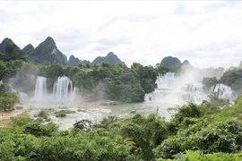  板约（越南）—德天（中国）瀑布景区。图自越通社