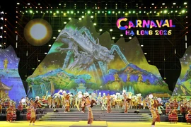 下龙狂欢节开幕式上的文艺表演节目。图自越通社