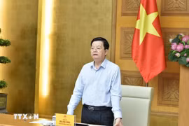 政府副总理梅文政。图自越通社