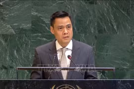 越南常驻联合国代表团团长、特命全权大使邓黄江。图自越通社