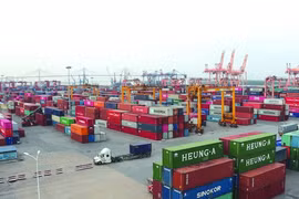 附图。图自民智报