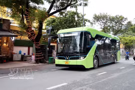 胡志明市向环境友好型交通工具转换。图自越通社